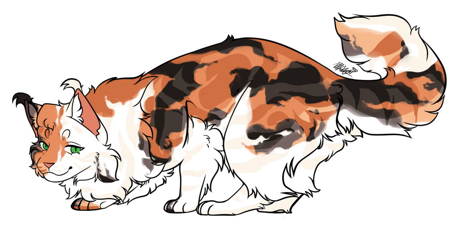 For rentheidiot For rentheidiot
